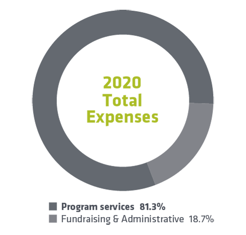2020 Total Expense Chart