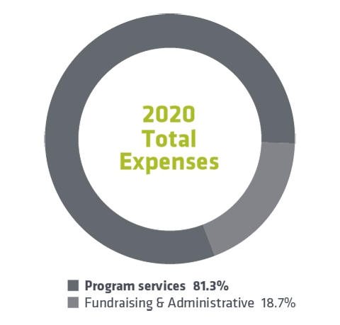 2020 Total Expense Chart