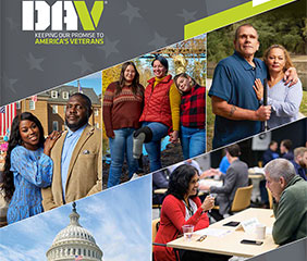 DAV Annual Report