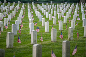 who can be buried in arlington national cemetery; va national cemetery; va burial benefits form; va application for burial benefits; application for burial in national cemetery