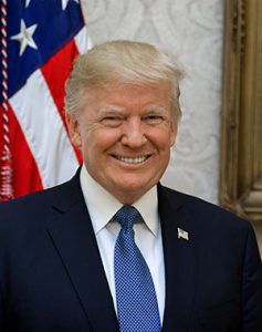 Trump Portrait