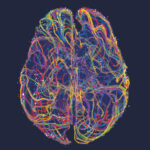 VA to fund psychedelic research.