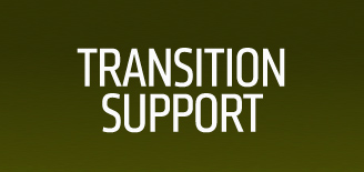 VeteransPulse_TransitionSupport